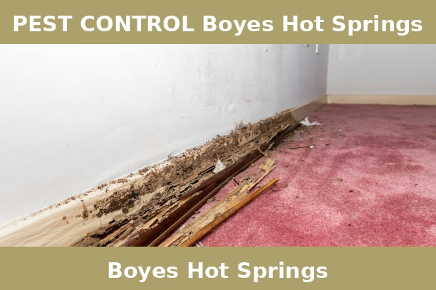 PEST CONTROL Boyes Hot Springs